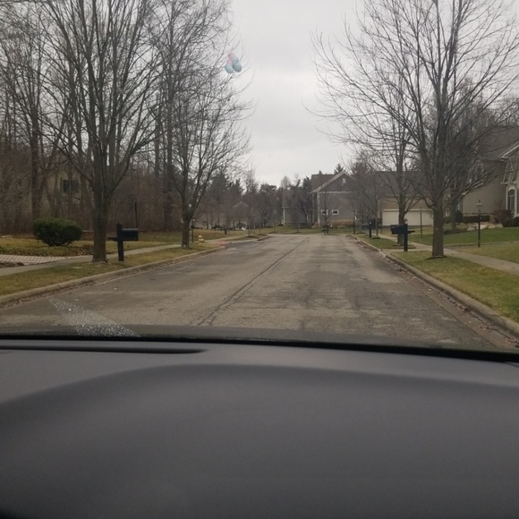 Meet your Posher, Brad - Picture 1 of 1